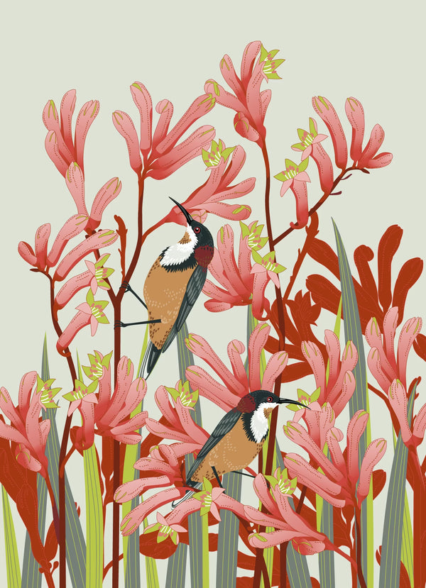 Microfibre Tea Towel - Kangaroo paw